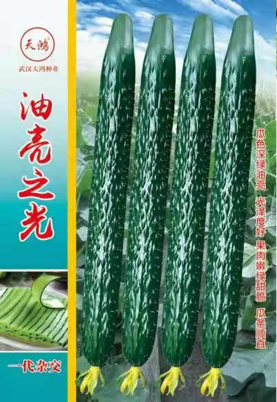 市商務委副主任陳黎明上門服務外企(圖1)